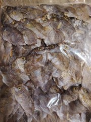 Dried Fish Danggit / Rabbit Fish salted From Cebu