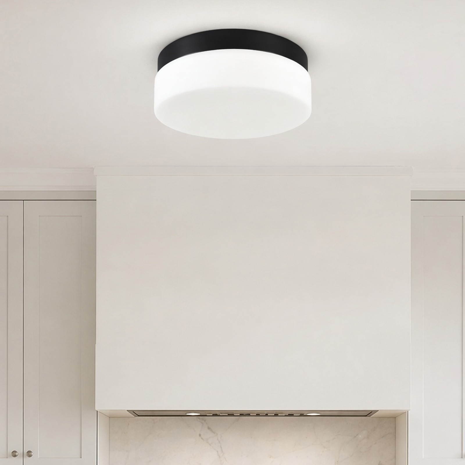 12'' Modern 24W LED Ceiling Light 5CCT Dimmable Glass Flush Mount Black Fixture gallery