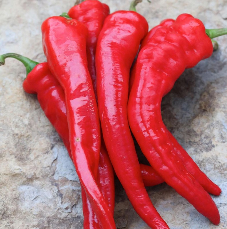 Heirloom Hatch Chile Pepper Seed Combo – 200 Seeds (4 Varieties, 50 Each) gallery