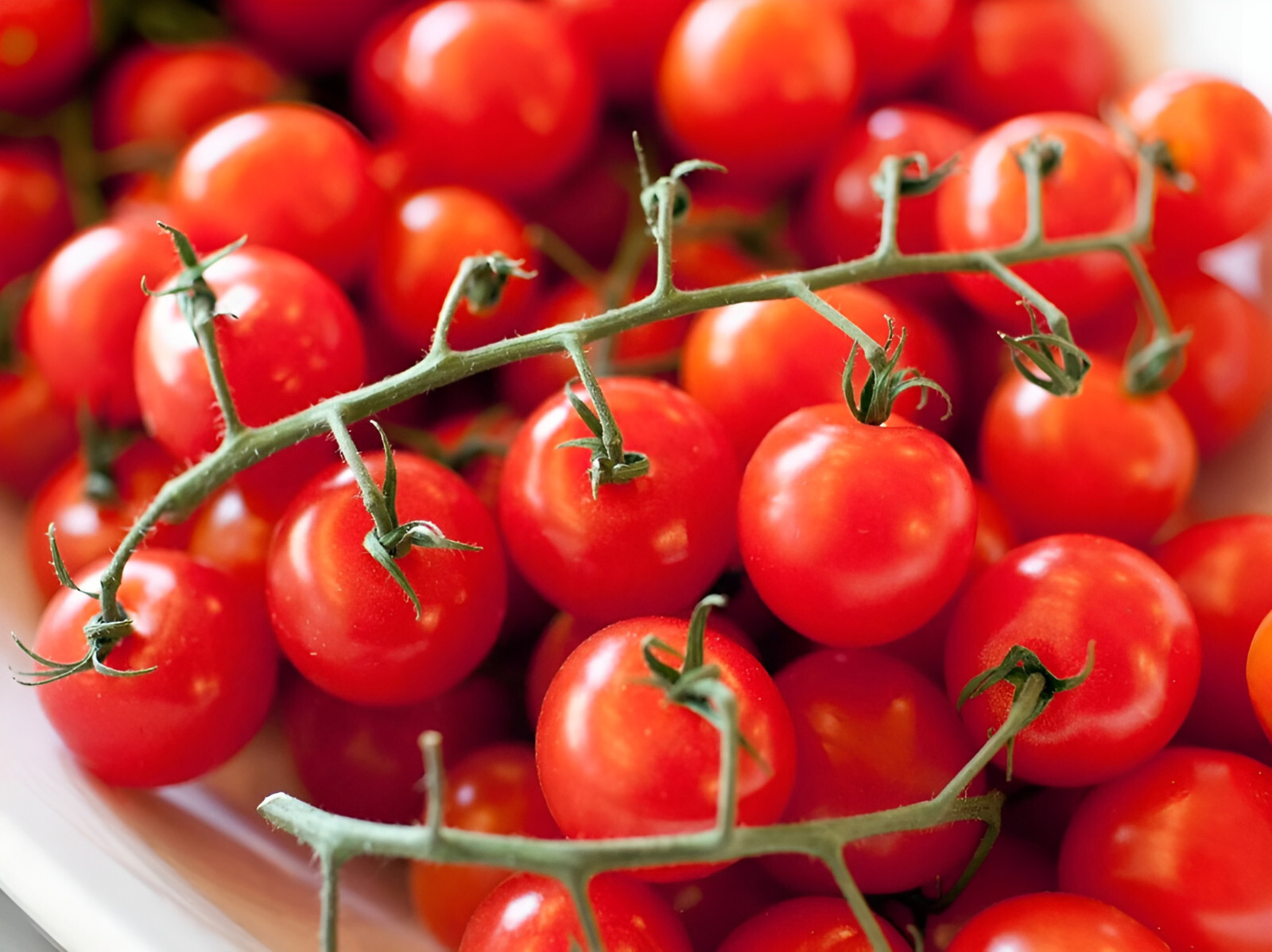 100 Heirloom Small Red Cherry Tomato Seeds - Sweet and Bite Sized! Indeterminate gallery