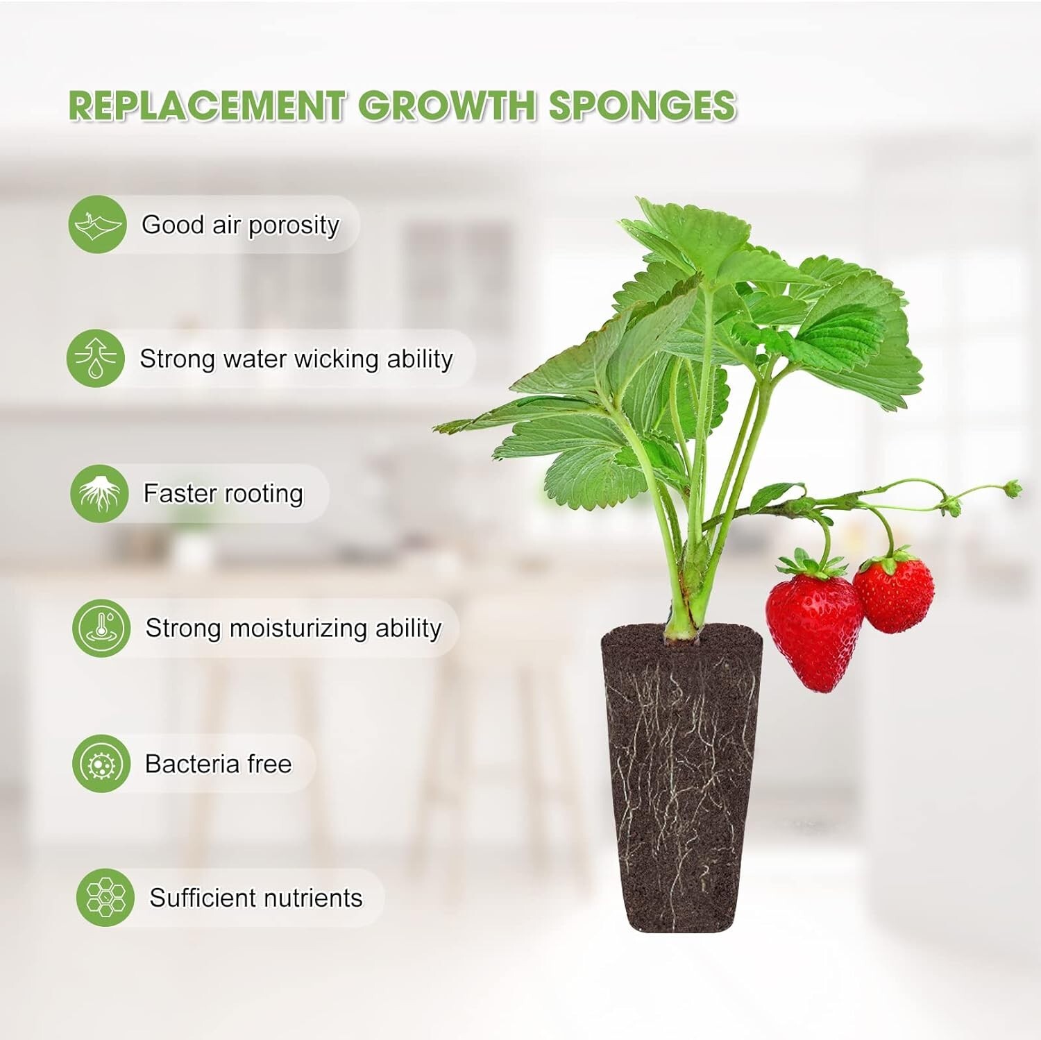 60 Pack Square Grow Sponges Seed Starter Pod Kit Seed Hydroponics Accessories gallery