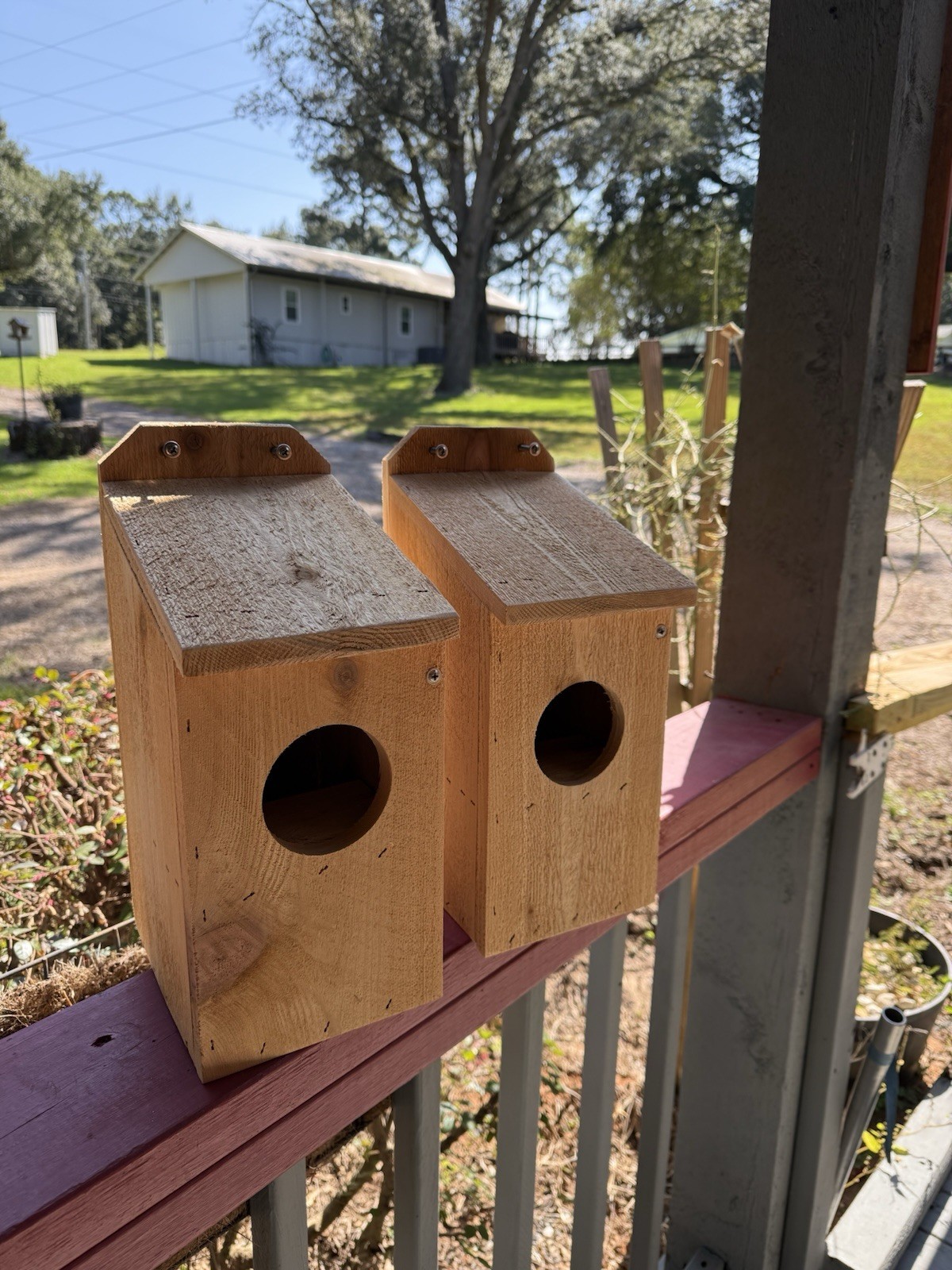 Squirrel Nest Box Made From Cedar gallery
