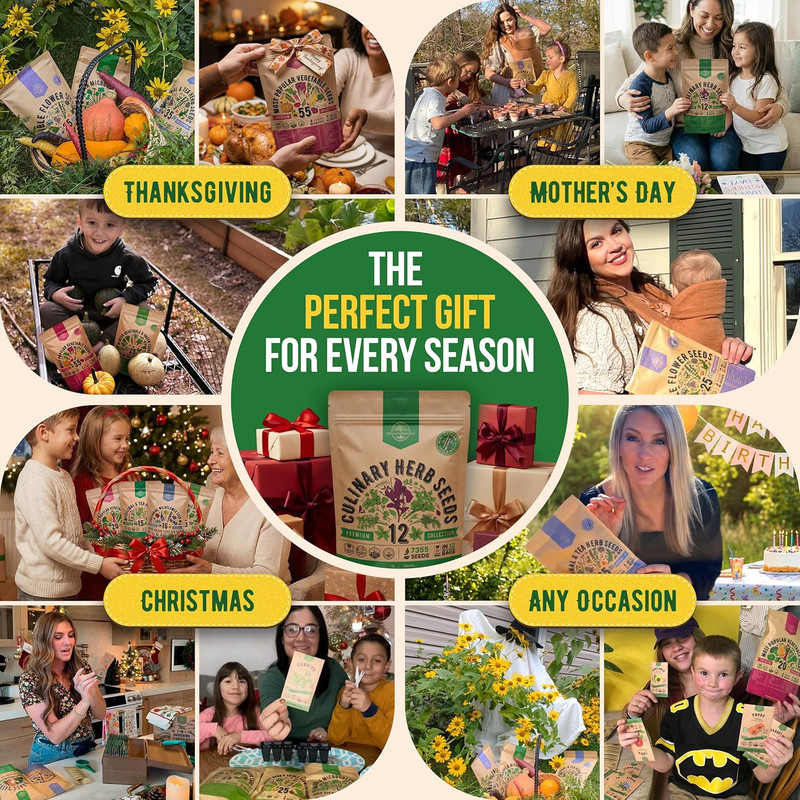 Culinary Herb Seeds Variety Pack 12 Types Non-GMO Heirloom Indoor Outdoor Garden gallery