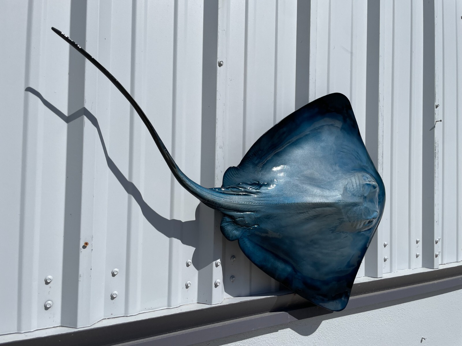 46" Blue Southern Stingray Half Mount - Quick Production gallery