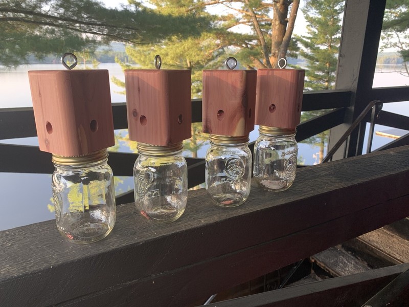 6 Red Cedar carpenter bee-bore cedar traps FREE SHIPPING gallery