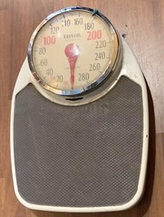Taylor Professional Large Platform Mechanical Scale 330 Pounds 2 Markers