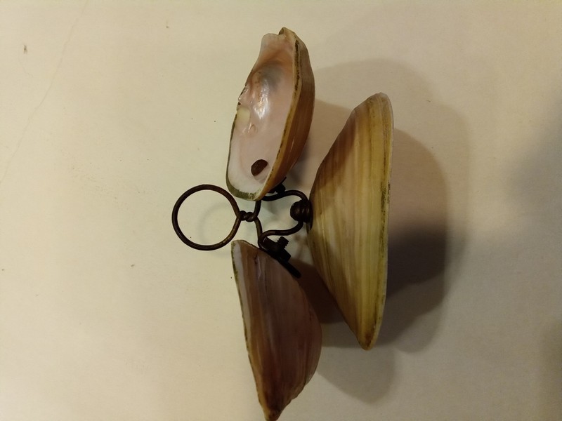 Abalone Shell Soap Dish gallery