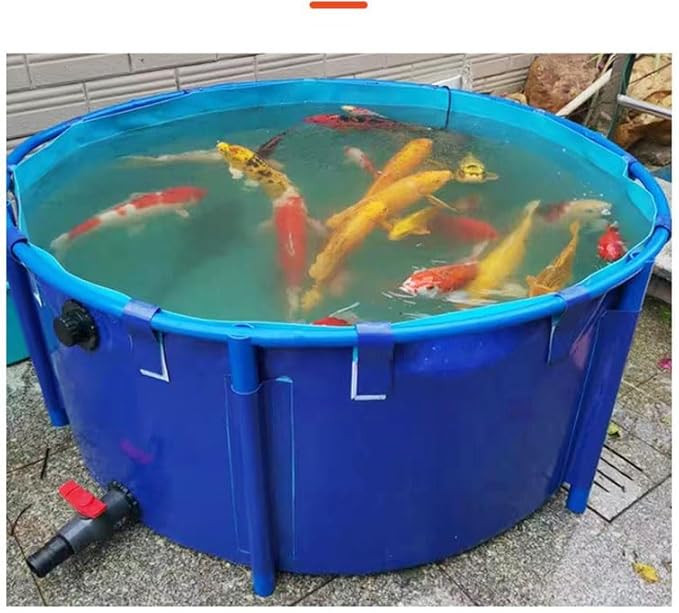 635GaL Outdoor Large Fish Tank With Bracket For Koi Holding Tank Irrigation Tape gallery