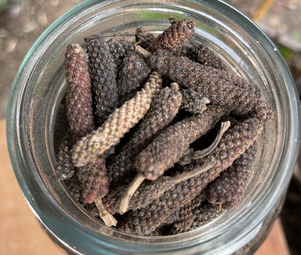 8 Oz Long Pepper Java Pepper Peppercorn Spice gallery
