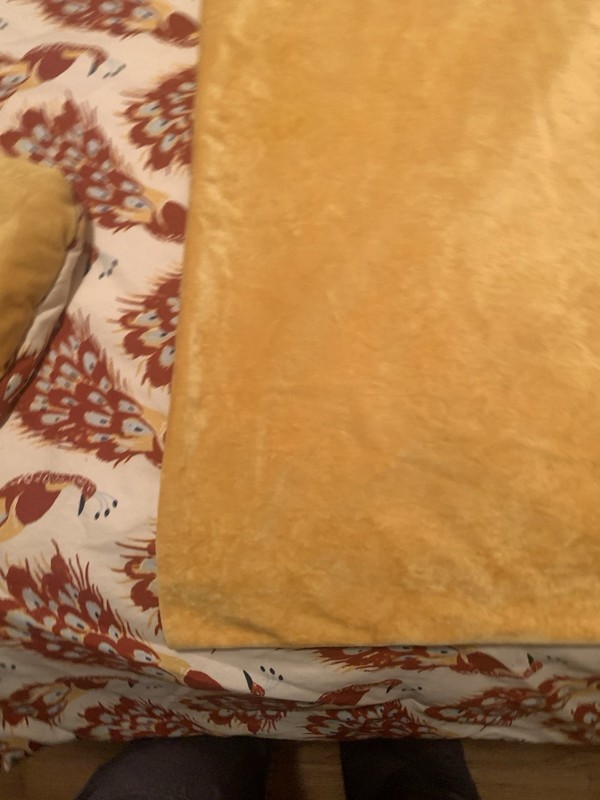3pc Target Opalhouse Jungalow Peacock Comforter Pillow Sham Set Queen Gold Rust gallery
