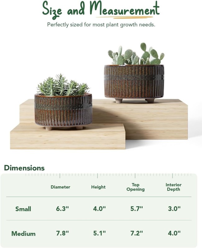 Modern Round Succulent Planters with Drainage Hole, Set of 2, 6.5 & 8 Inch gallery
