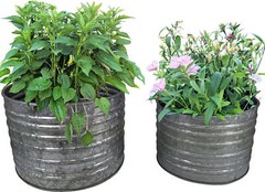 Galvanized Ribbed Flower Pot Set, 1.5 & 1 Gallon Metal Pots for Indoor & Outdoor