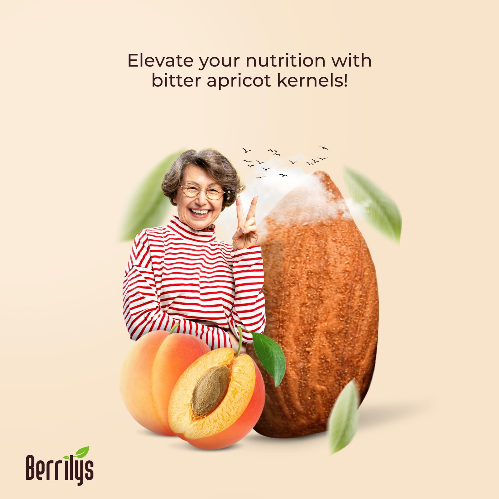 New Organic Bitter Apricot Kernel 1LB Raw Premium Seeds Unpasteurized Non-GMO US gallery