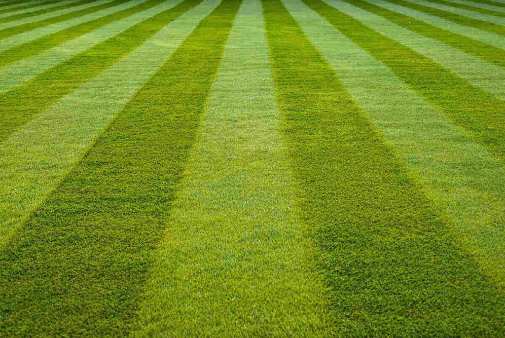 Velocity PM (2oz) Herbicide gallery