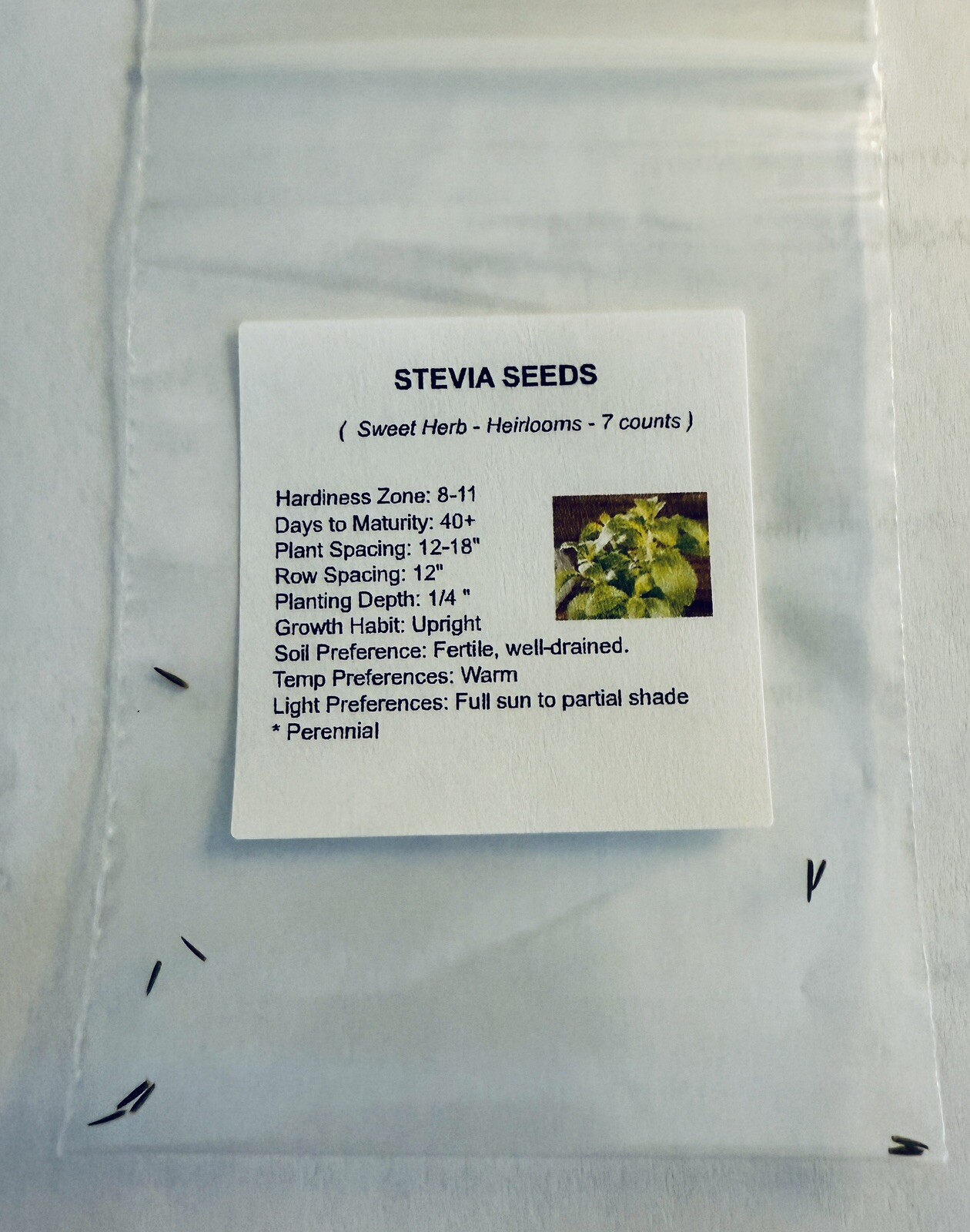 Stevia Seeds - Sweet Herb - 7 counts gallery