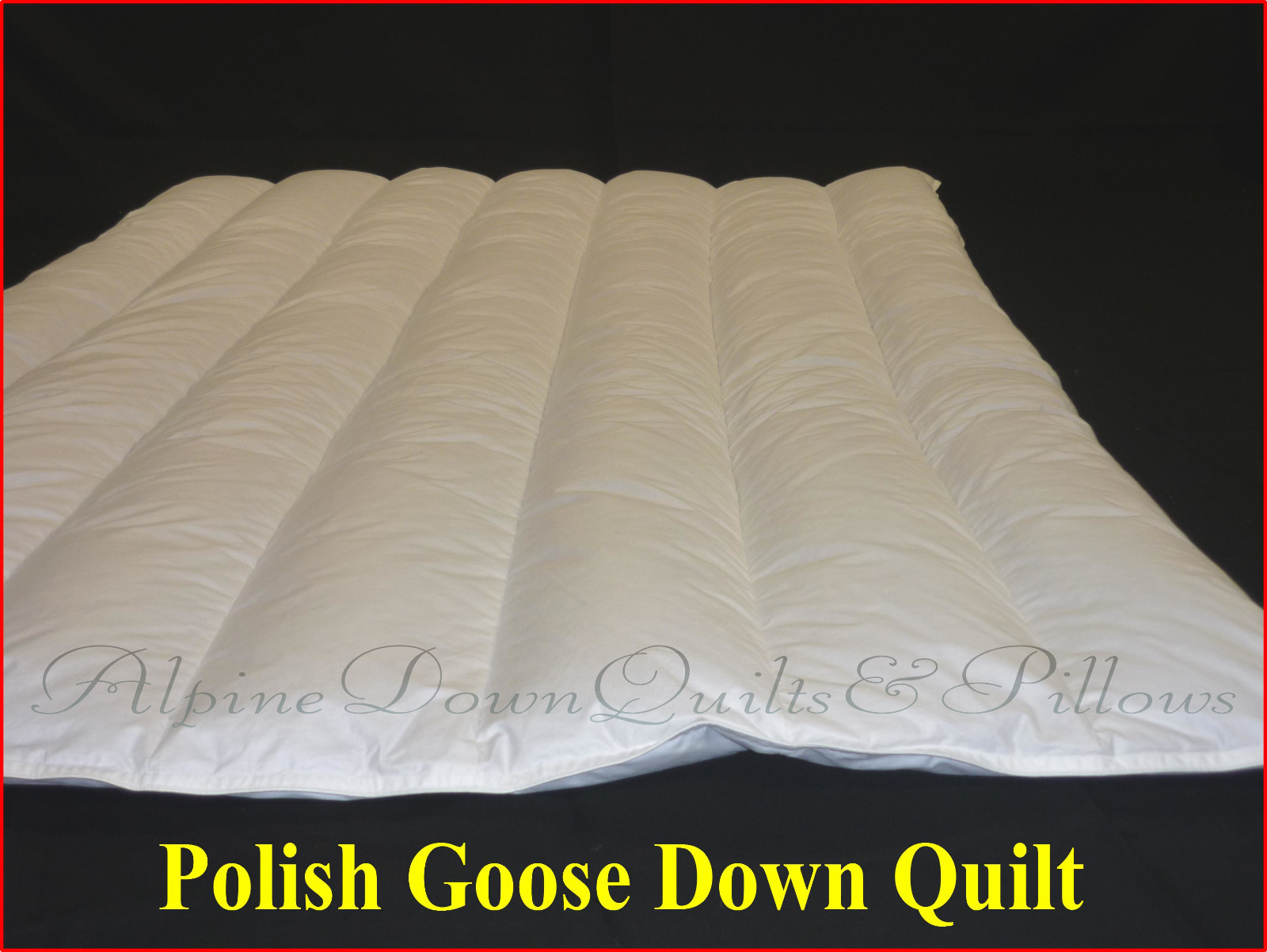 QUEEN BED QUILT COMFORTER 95% POLISH GOOSE DOWN SPRING/AUTUMN PLUS SALE gallery