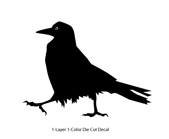 Wildlife - Birds - Walking Raven/Crow Decal - 6Yrs Outdoor Vinyl Die-Cut Sticker gallery