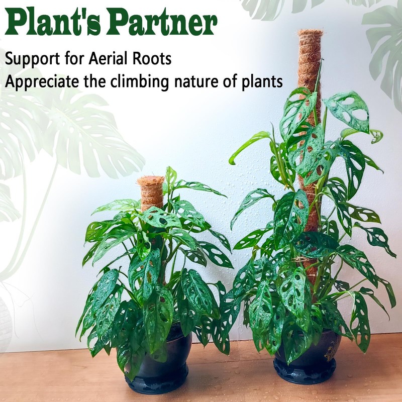 2 Pack 17 Inch Moss Pole Stackable Moss Poles for Climbing Plants Monstera Tall gallery