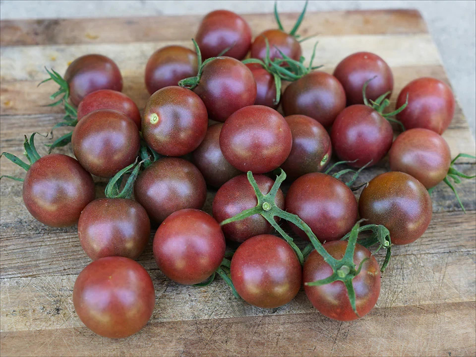 30 BLACK CHERRY TOMATO SEEDS ~ 2026 ~ NON-GMO ~ heirloomseedguy gallery