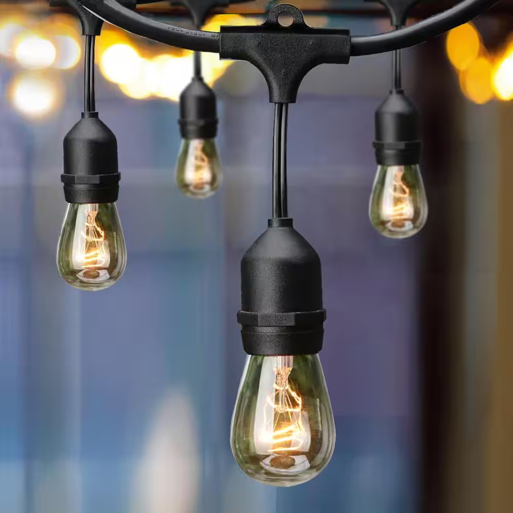 12-Light 24 Ft. Indoor/Outdoor Plug-In Incandescent Edison Bulb String Light gallery