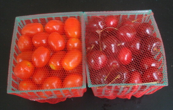 100 pcs Mesh Breathable Protective Netting for Berry Baskets Produce gallery