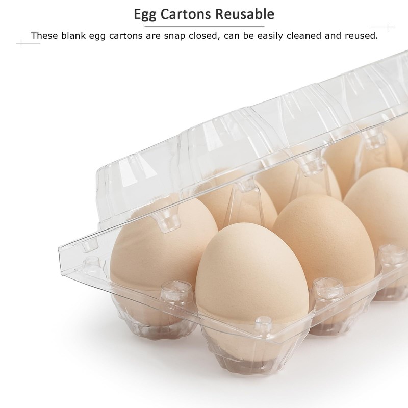 48 Pack Egg Cartons Cheap Bulk 12 Count 1 Dozen Clear Empty Chicken Egg Carto... gallery