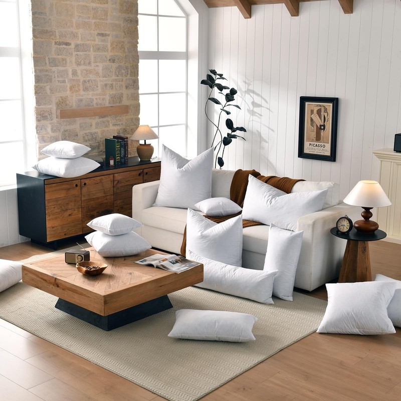 18x18 Decorative Throw Pillow Inserts-Down Feather Pillow Inserts-Square-Cotton gallery