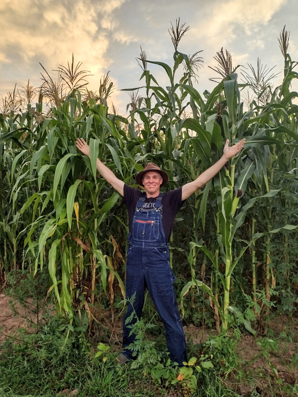 Jimmy Red Corn - Heirloom Dent Corn Seed or For Milling - 1 pound Avg 1,400 Seed gallery