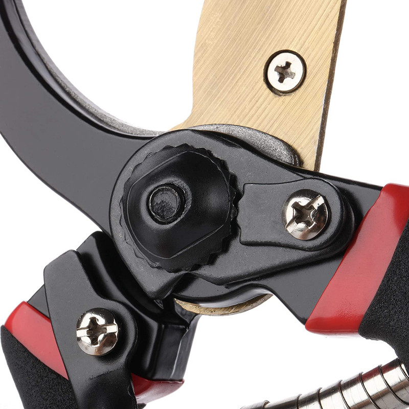 - Pruning Shears Garden Shears 8 Professional Titanium Blade Garden gallery