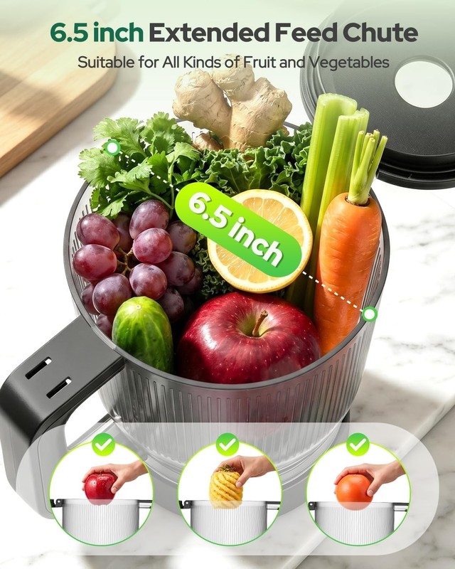 2026 Upgraded Cold Press Juicer Machine, 6.5" Extra Wide Chute Masticating Ju... gallery