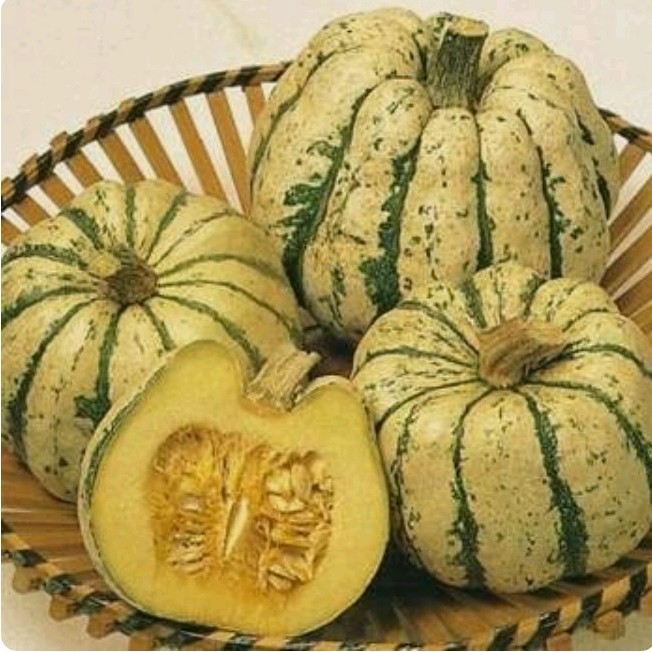 40 Plus Sweet Dumpling Winter Squash Seeds-Non GMO seeds-Open Pollinated