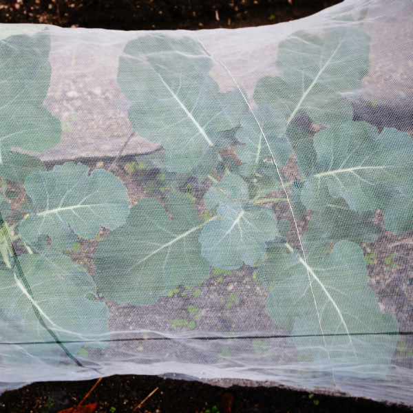 Farm Plastic Supply -Garden Insect Netting, Netting For Garden, Mosquito Netting gallery