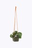 Waxed Canvas Handmade Hanging Planter 6" Forest Green gallery
