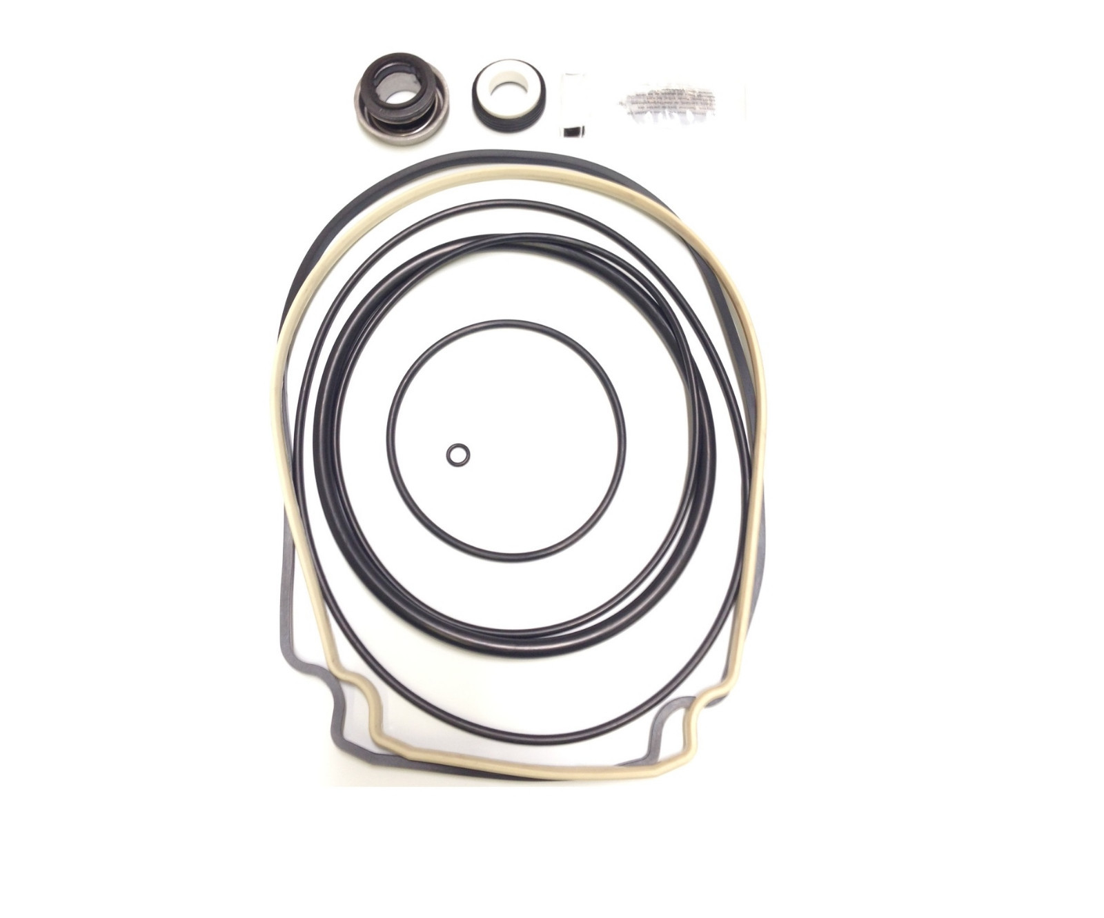 O-Ring Seal Rebuild Replacement Repair Kit For Whisperflo Intelliflo Pump Kit 32 gallery
