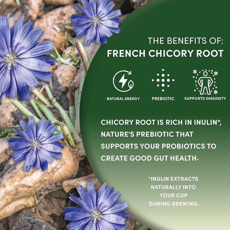Chicory Root 1 lb Roasted Coffee Substitute Caffeine Free Acid Free Prebiotic gallery