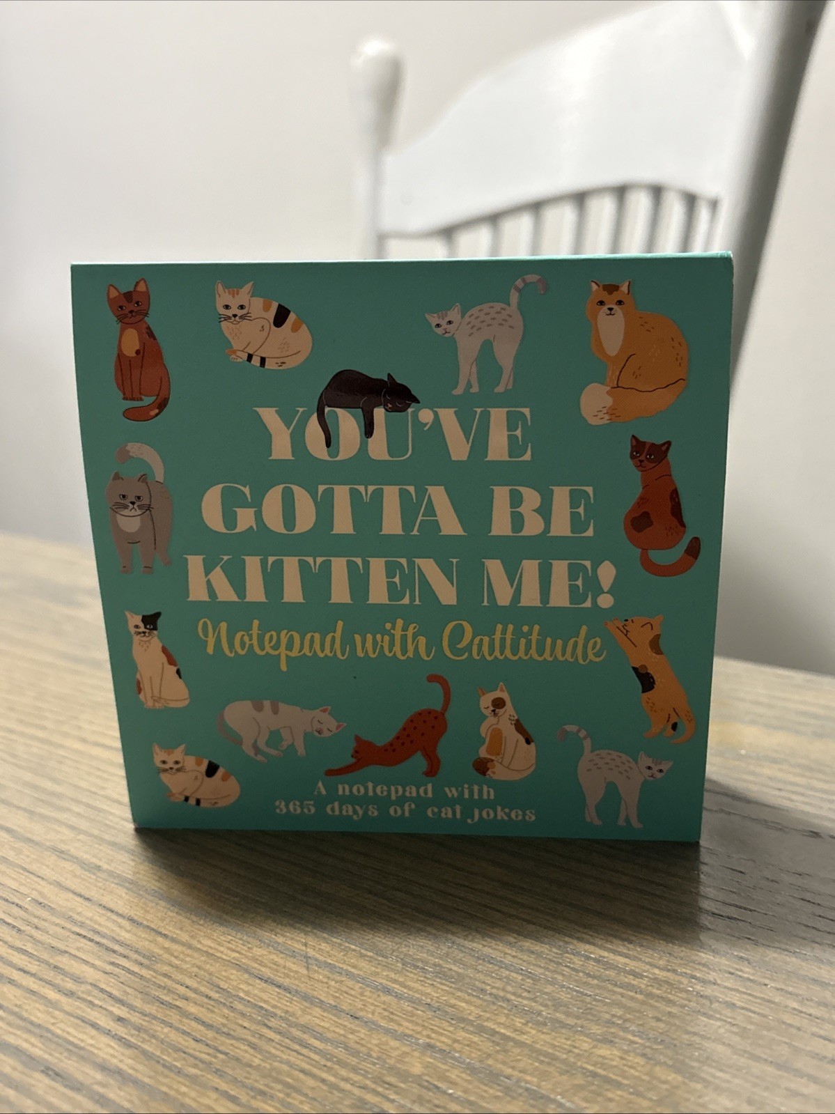 You've Gotta Be Kitten Me! Notepad With Cattitude - 365 Days Of Cat Jokes NEW gallery