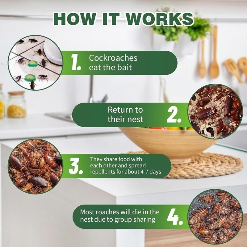 Roach Killer Cockroach Traps for Indoor & Outdoor Infestation Control pack of 24 gallery