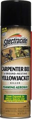 Spectracide Carpenter Bee & Nesting Yellowjacket Killer Spray 16Oz Each