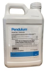 Pendulum AquaCap – 2.5 Gallons by BASF