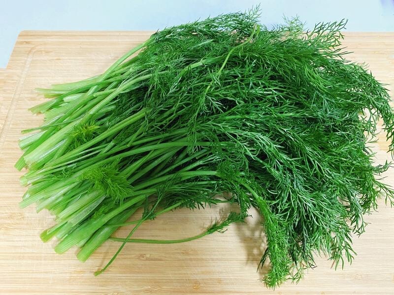 100+ Organic Fennel Seeds 小茴香种子 FREE SHIPPING gallery