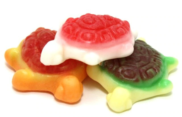 Gummies Soft Gummy Candies Filled Turtles Shape Premium FREE SHIP gallery