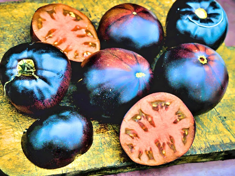 Black Beauty, Tomato gallery