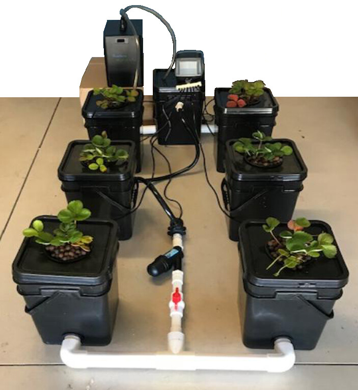 Southern Hydroponics Recirculating Deep Water Culture(DWC) 1+6 Hydro System gallery