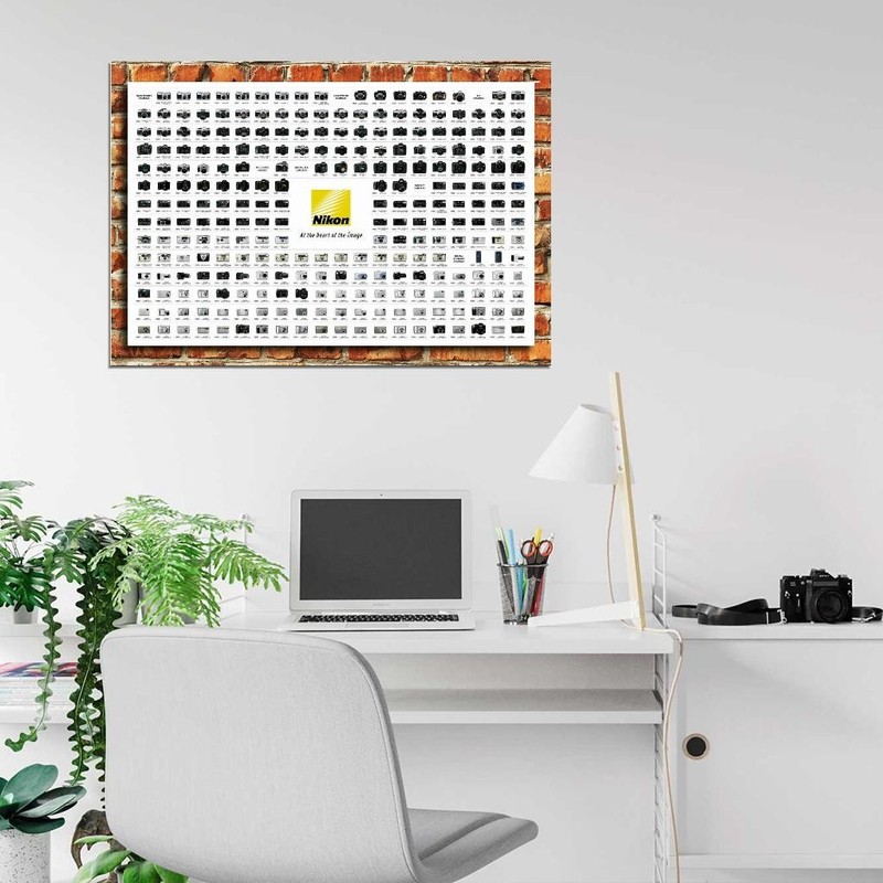 368191 NIKON CHART NIKONter Decor Wall Print Poster gallery