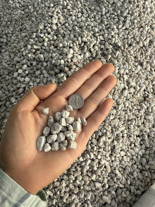 Pumice Large Flat Rate 20lbs🌵❤️😊 Cactus And Succulent Lover 464 gallery