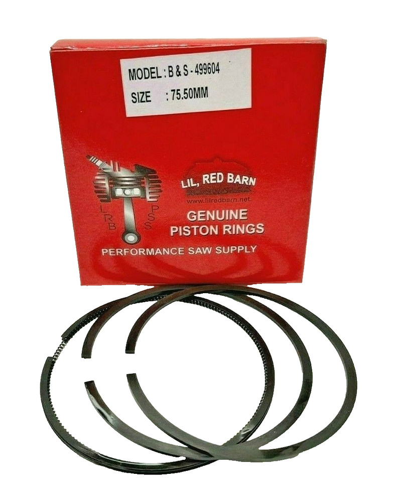 BRIGGS & STRATTON 499604