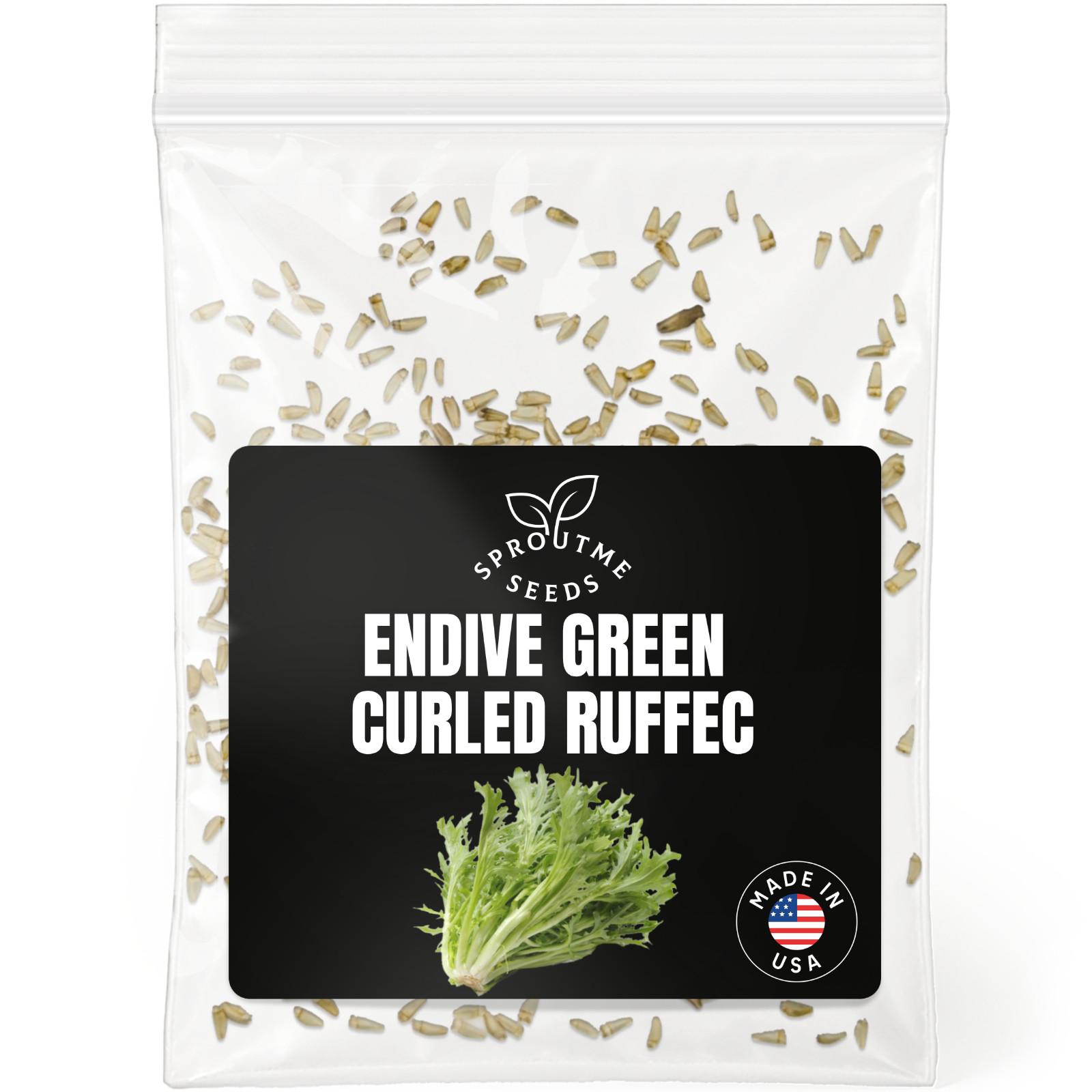 Curled Endive Ruffec Seeds 500+, Heirloom Non-GMO, Cool Season Greens gallery