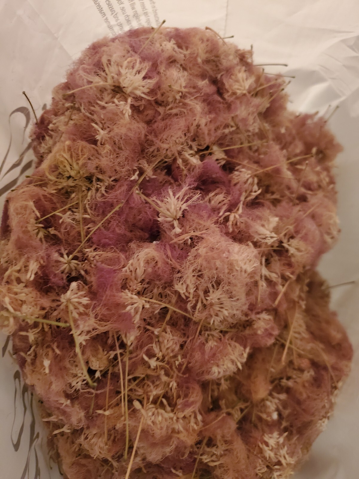 Dried Silk Mimosa Tree Fragarant Pink Flowers Tea Tincture Albizia Julibrissin gallery
