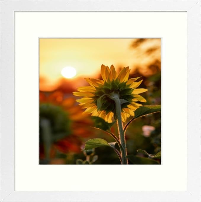 12x12 White Picture Frame 8x8 Mat Plexiglass Gallery Wall Frame 30x30 cm Prints gallery