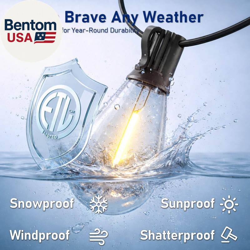 30FT LED Outdoor String Lights with Remote, One Continuous Strand Patio Lights w gallery